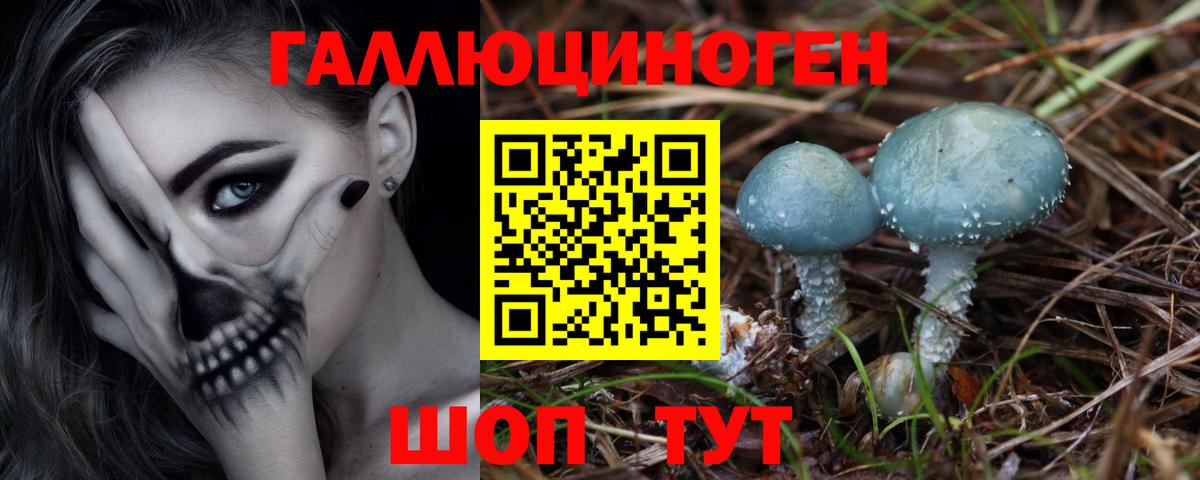 Псилоцибиновые грибы мухоморы  Псилоцибиновые грибы GOLDEN TEACHER  Лесозаводск  Вход с VPN 